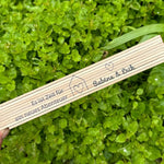 Zollstock Abenteuer personalisiert (Druck) - besonderlich.de - Bauherrin