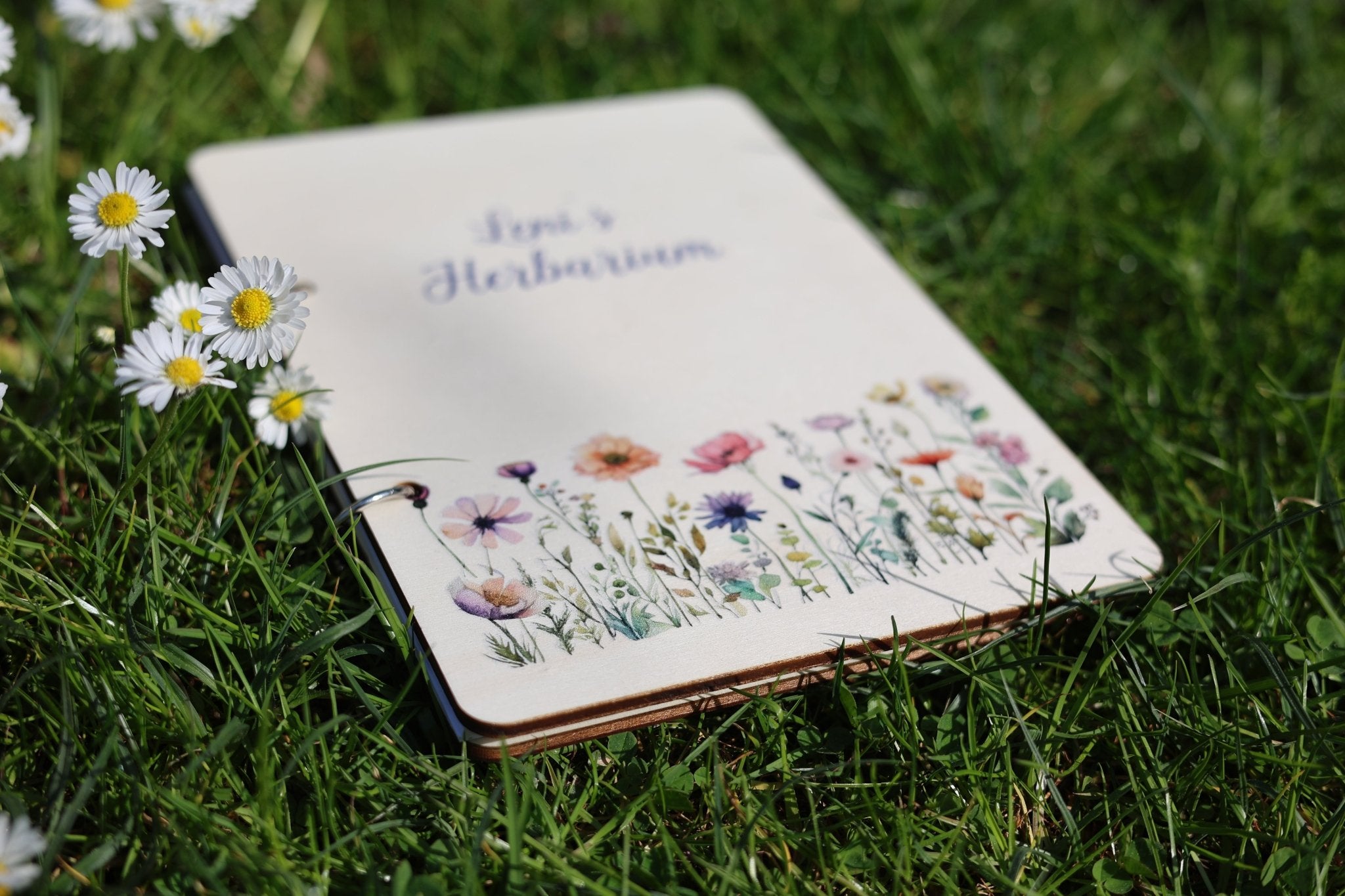 Herbarium Blumen mit Namen - besonderlich.de - Blumen pressen