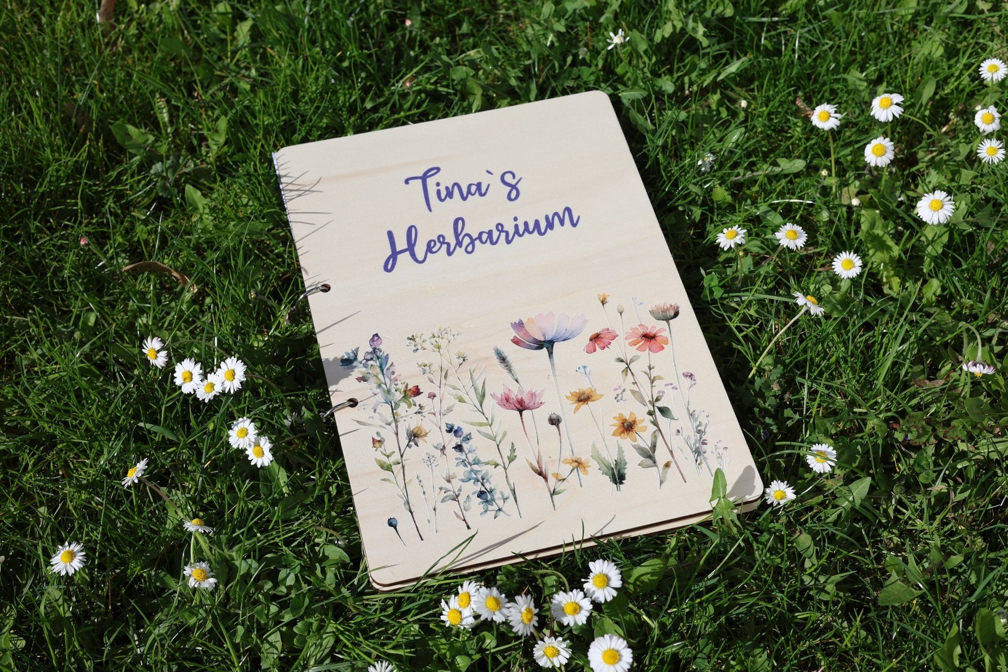 Herbarium Blumenwiese mit Namen - besonderlich.de - Blumen pressen