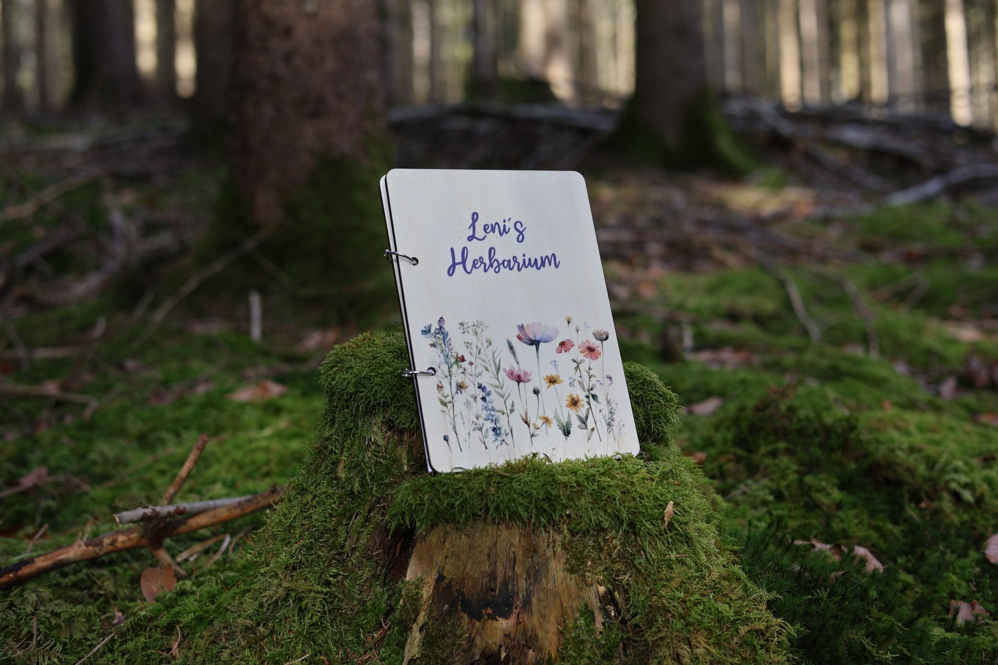 Herbarium Blumenwiese mit Namen - besonderlich.de - Blumen pressen