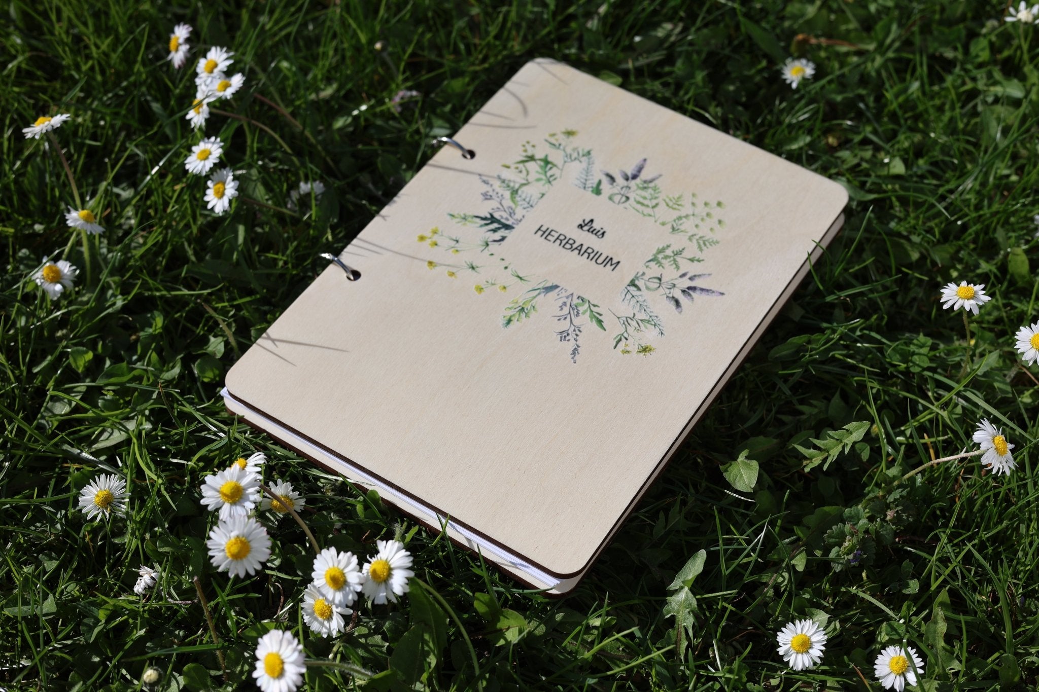 Herbarium Wildblumen mit Namen - besonderlich.de - Blumen pressen