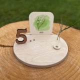 Monatskarten aus Holz - besonderlich.de - Datum Würfel