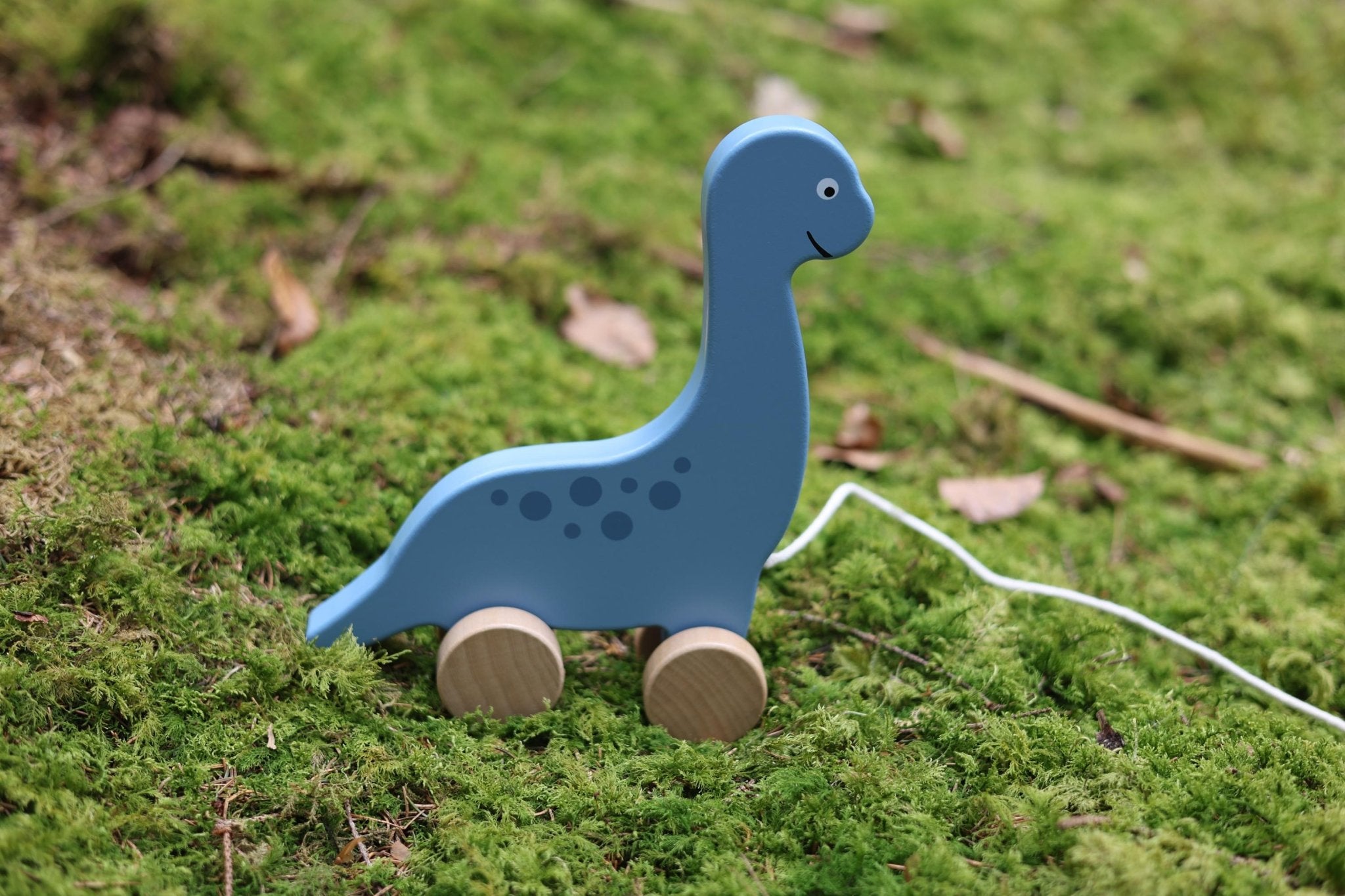 Nachziehtier Dinosaurier personalisiert - besonderlich.de - Dinosaurier