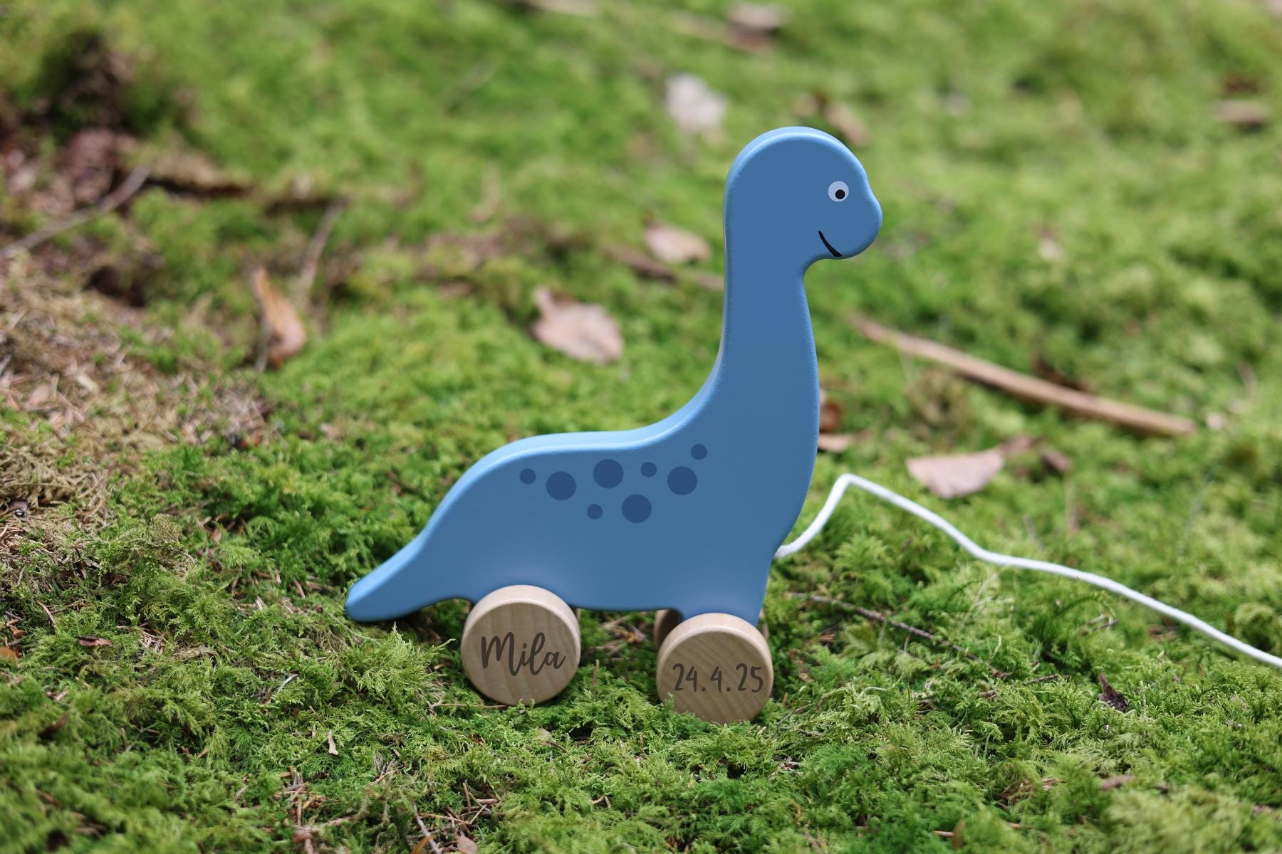 Nachziehtier Dinosaurier personalisiert - besonderlich.de - Dinosaurier