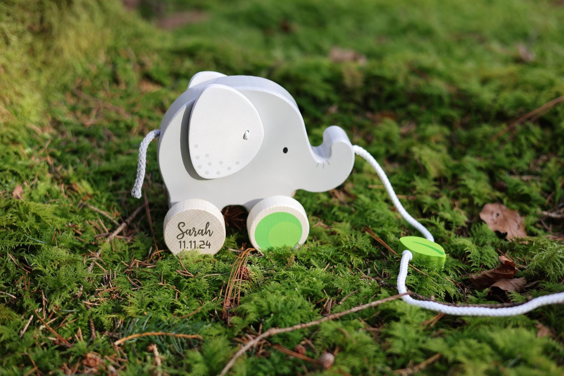 Nachziehtier Elefant personalisiert - besonderlich.de - educational toys