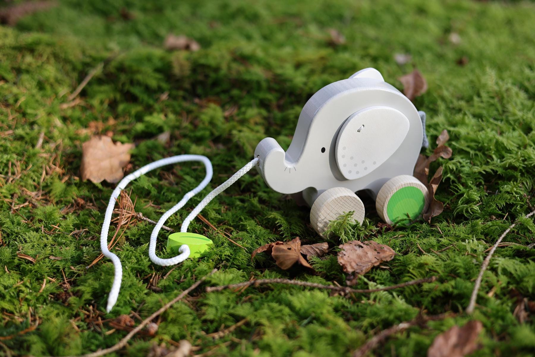 Nachziehtier Elefant personalisiert - besonderlich.de - educational toys