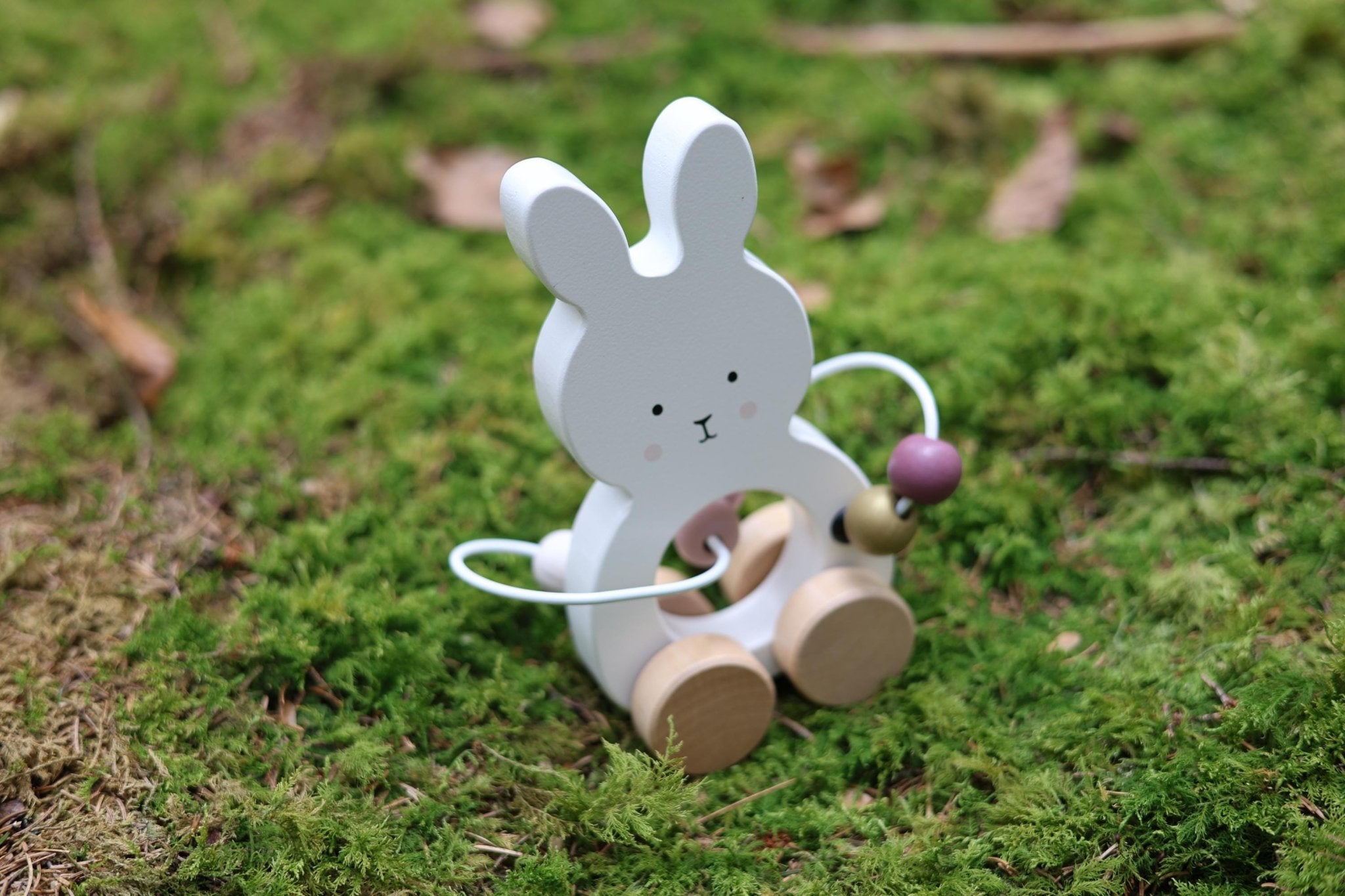 Schiebespielzeug Hase personalisiert - besonderlich.de - baby