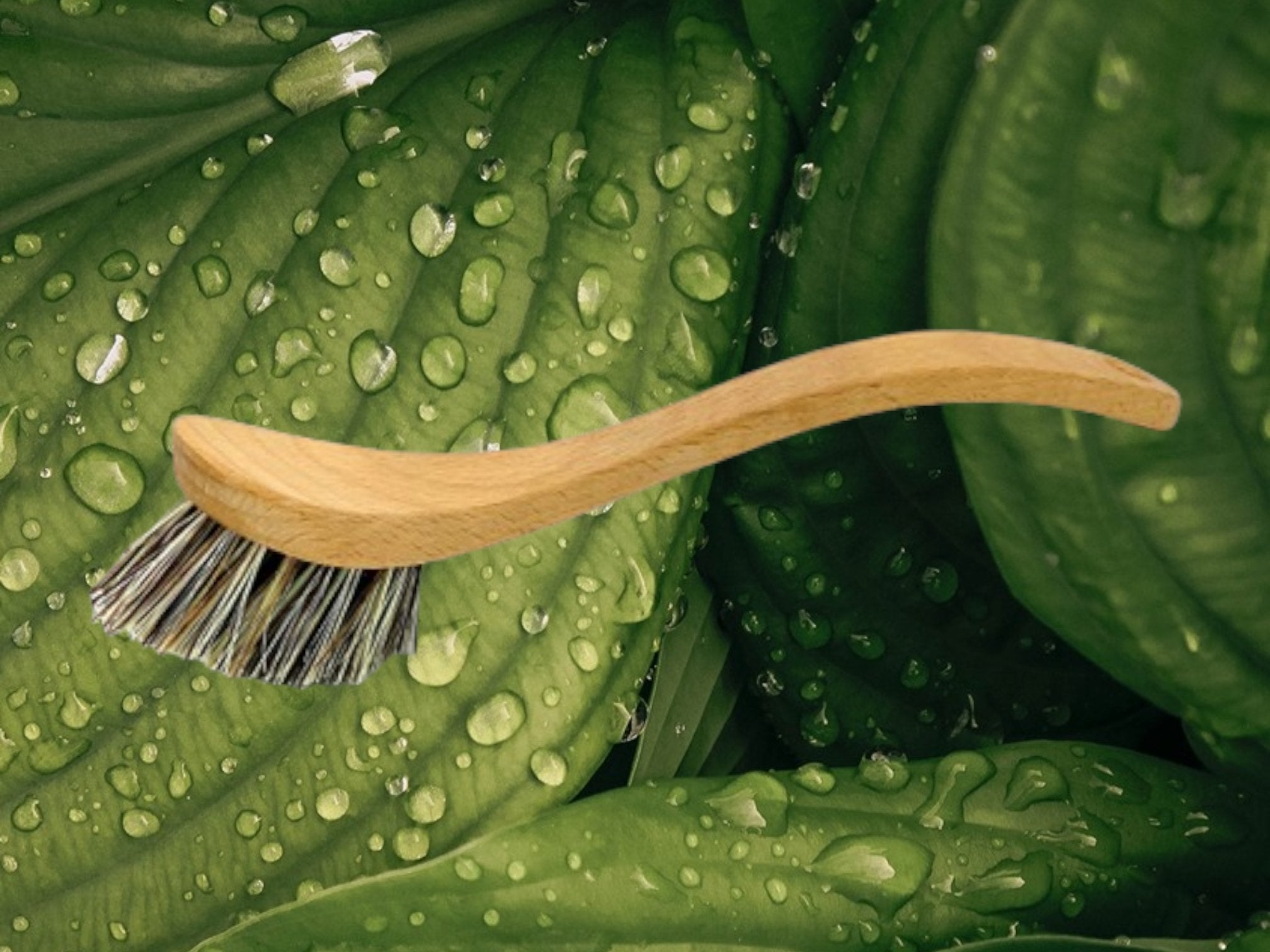 Spülbürste mit Naturborsten geschwungen - besonderlich.de -nachhaltige Spülbürste
